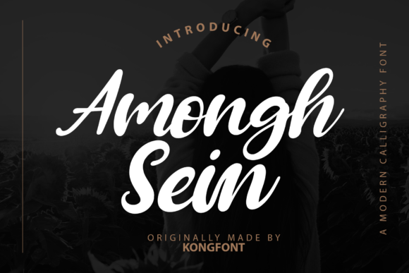 Amongh Sein: A Designer's Real-World Test