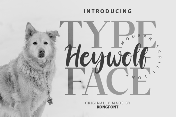 Heywolf Font for Business Branding and Design