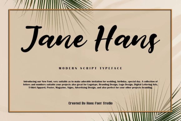 How Jane Hans Transformed My Brand’s Visual Identity