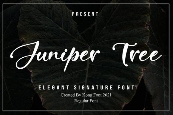 Juniper Tree Font for Eye-Catching Campaign Designs