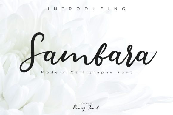 Sambara Font for Modern Branding and Marketing