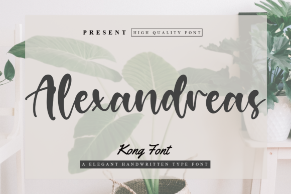 Testing Alexandreas: A Playful Script Font for Web Design