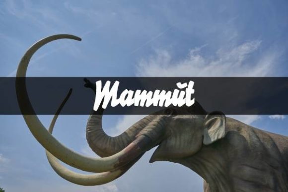 Testing Mammut: A Handwritten Font for Modern Web Design